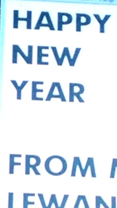 Michael lewandowski new year video