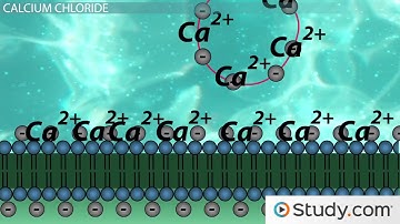 Bacterial Transformation  Definition, Process and Genetic Engineering of E  coli   Video   Lesson Tr