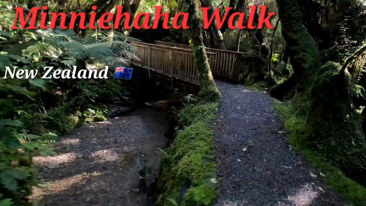 Fox Glacier Minnehaha Walk New Zealand 2025