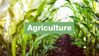 Thematic Days: Adaptation & Agriculture | COP27