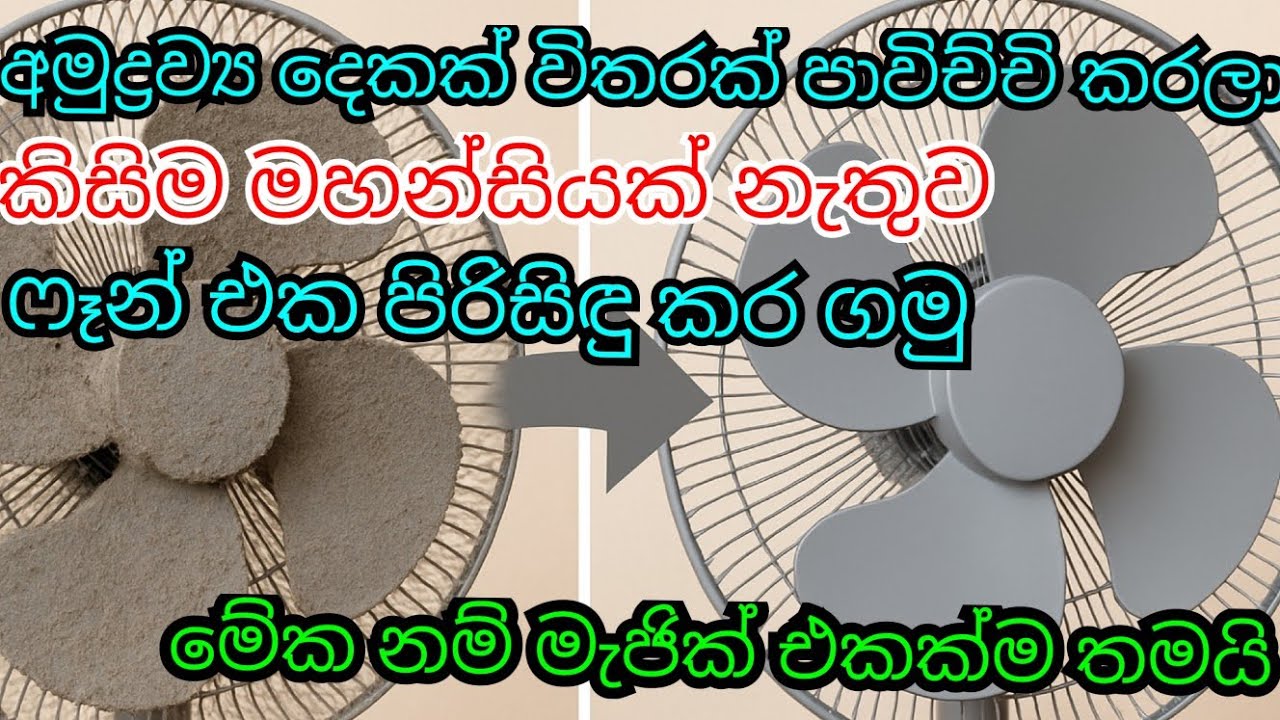අමුද්‍රව්‍ය දෙකක් විතරක් පාවිච්චි කරලා ෆෑන් එක පිරිසිඳු කර  ගමු#cleaningtips#lifewithme