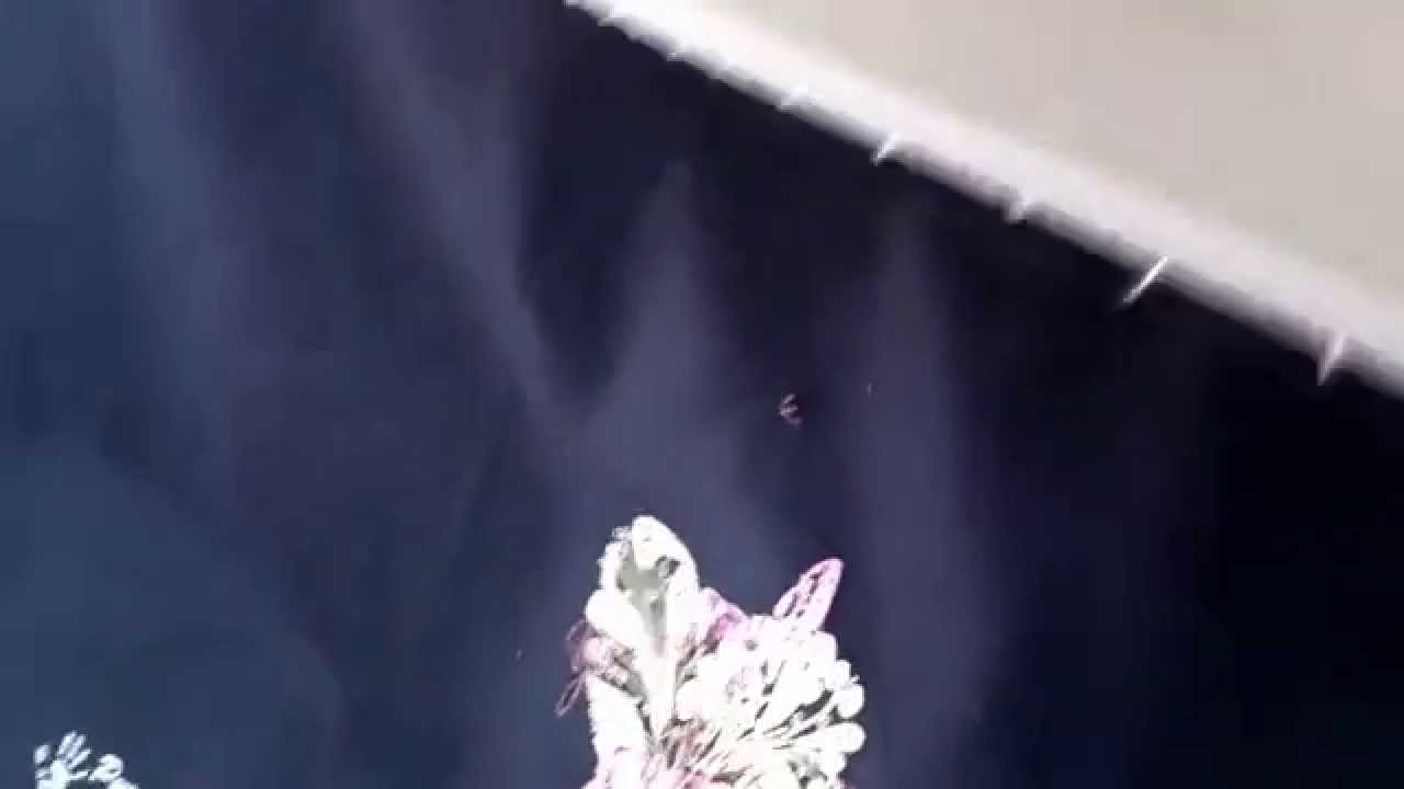 В багажник Ниссан Мурано - YouTube