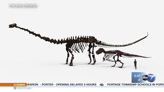 It's moving day for Sue the dinosaur