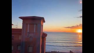 IMG 4223
