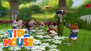 Best Moments Of  Season 1  3  Tip The Mouse