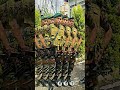 Powerful ground force Tripura State rifle on duty time swag #tsr#motivation#status#dharmanagar
