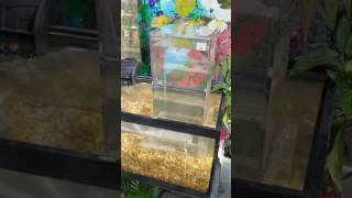 Details Fish tower prototype 2 Guide