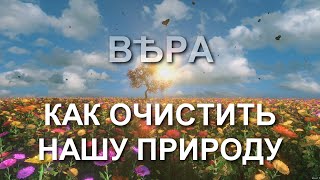 Как очистить нашу природу