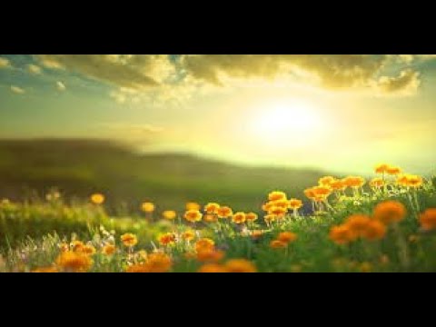 نشيد لاح الصباح