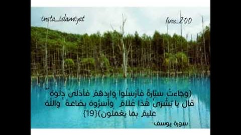 القارئ مشاري العفاسي ( وجآءوا أباهم عشاء يبكون )