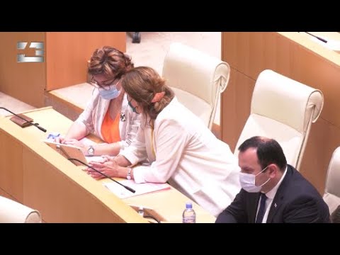 ფრაქცია „შარლ მიშელის რეფორმების ჯგუფი“  მთავრობას კანონის დარღვევაში ადანაშაულებს