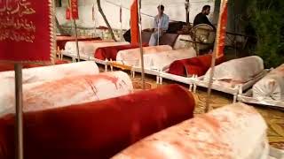 258 Taboot karbala gamay shah (lahore)