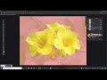 how to cutout image and trap with  pantone spot channel in photoshop. useful for flexography