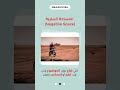 📌 "الكومبوزيشن في التصوير 📸 | السر لي يخلي صورك احترافية"