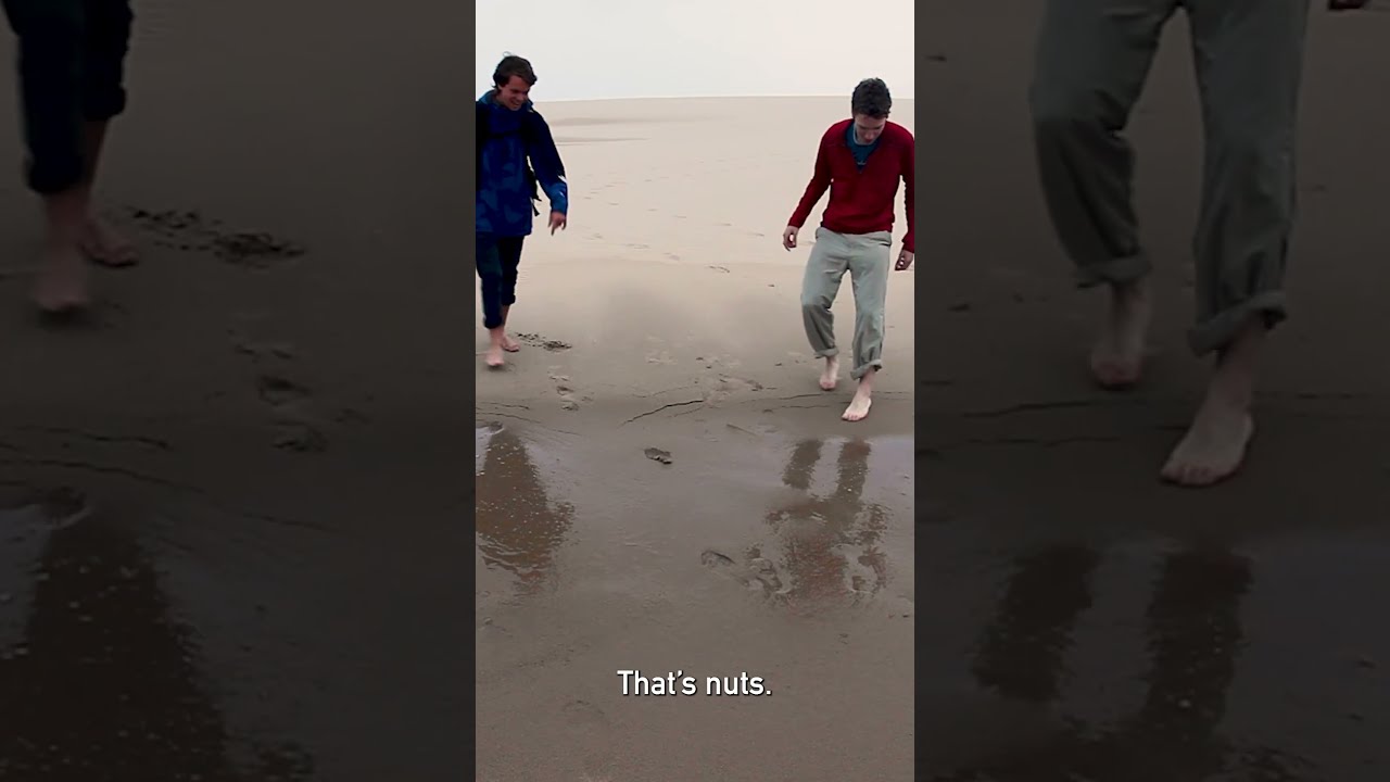 Oregon Coast Quicksand 
