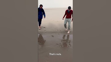 Oregon Coast Quicksand??