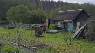 У НАС ВСЕ ТЕ ЖЕ ДЕЛА, КОСИМ И КРАСИМ. ПОЧЕМУ У МЕНЯ ТАК МНОГО НЕДОБРОЖЕЛАТЕЛЕЙ.