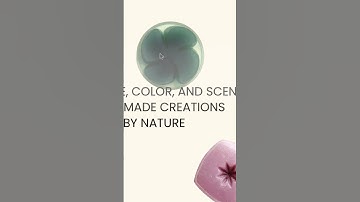 Custom CSS ASMR 😌