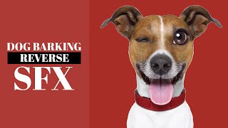 Dogs Barking In Reverse Sound Effect Hd