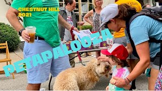 Chestnut Hill Petapalooza 2021