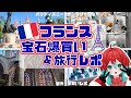 【爆買い】フランスに行ってディズニーランドやらサントマリーミネラルショーやらいろいろ行ってきた【宝石研磨職人見習いVtuber】