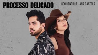 Hugo Henrique, Ana Castela - Processo Delicado - Música Nova 