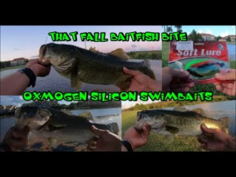 Catching FALL CHUNKS With BLADED BAITS (Oxmogen Swimbaits)