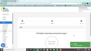 4-H Animal ID in 4-H Online: Swine