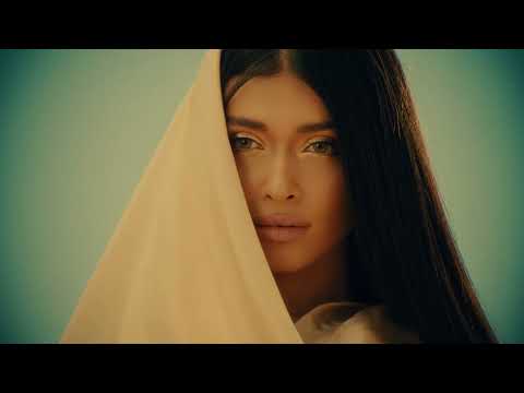 Al Shami Dwali Official Music Video 2024 الشامي دوالي