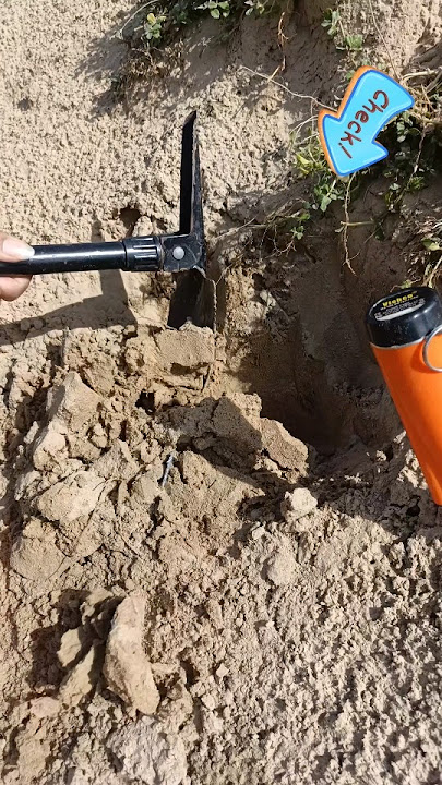 gold treasure hunting using metal detector #golddetector #foundgold #metaldetecting #shortsfeed