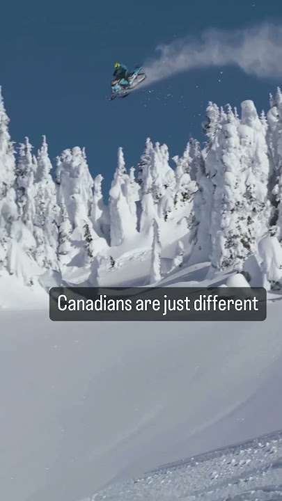 Treetops cleared ✅🌲 #SledPage