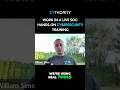 Work in a Live SOC: Hands-On Cybersecurity Training