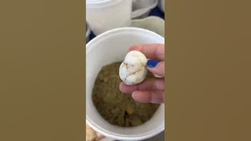 Are you from Vermont? This buckets for you! #activitiesforkids #crystals  #funactivity #canyoudigit