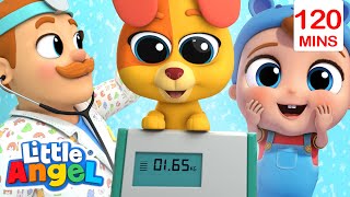 Bingo's Visit To The Vet | Karaoke! | Best Of Little Angel! | Sing Along With Me! | Kids Songs