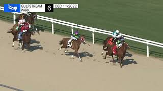 Vidéo de la course PMU CLAIMING