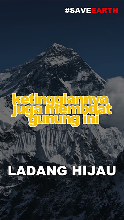 gunung jaya wijaya