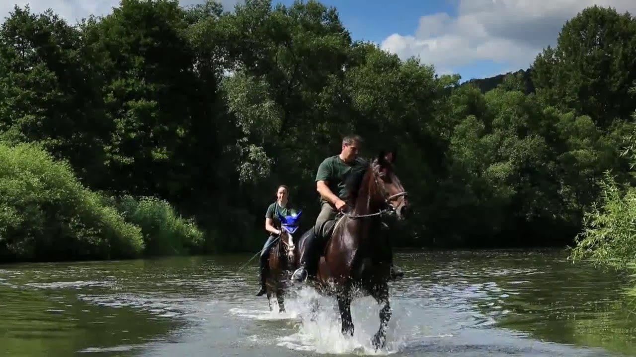 Naturpark Eichsfeld Hainich Werratal