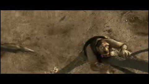 Animation - Survival of the Fittest HQ