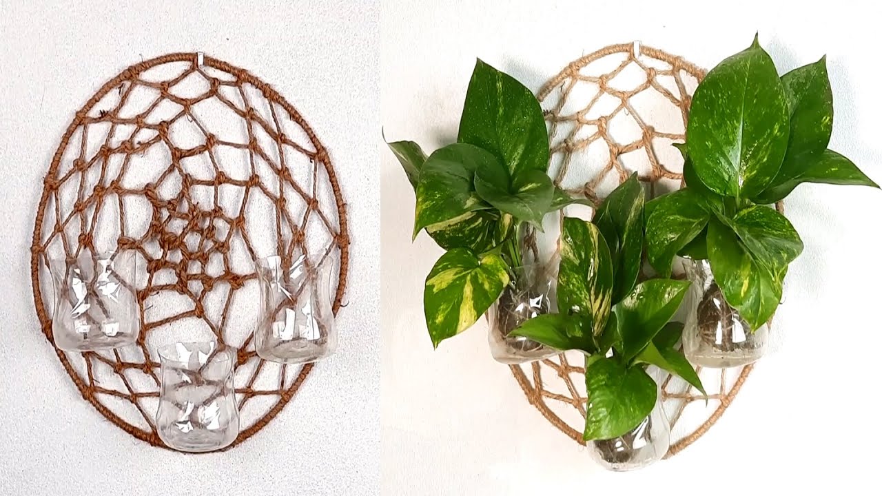 Money plant Wall Hanging Idea for Home Room Garden Money plant Indoor