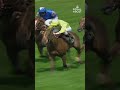 📅 COUNTDOWN 2️⃣ #RoyalAscot! Reliving Frankie Dettori and LUCKY LIONEL 👏 | #Shorts