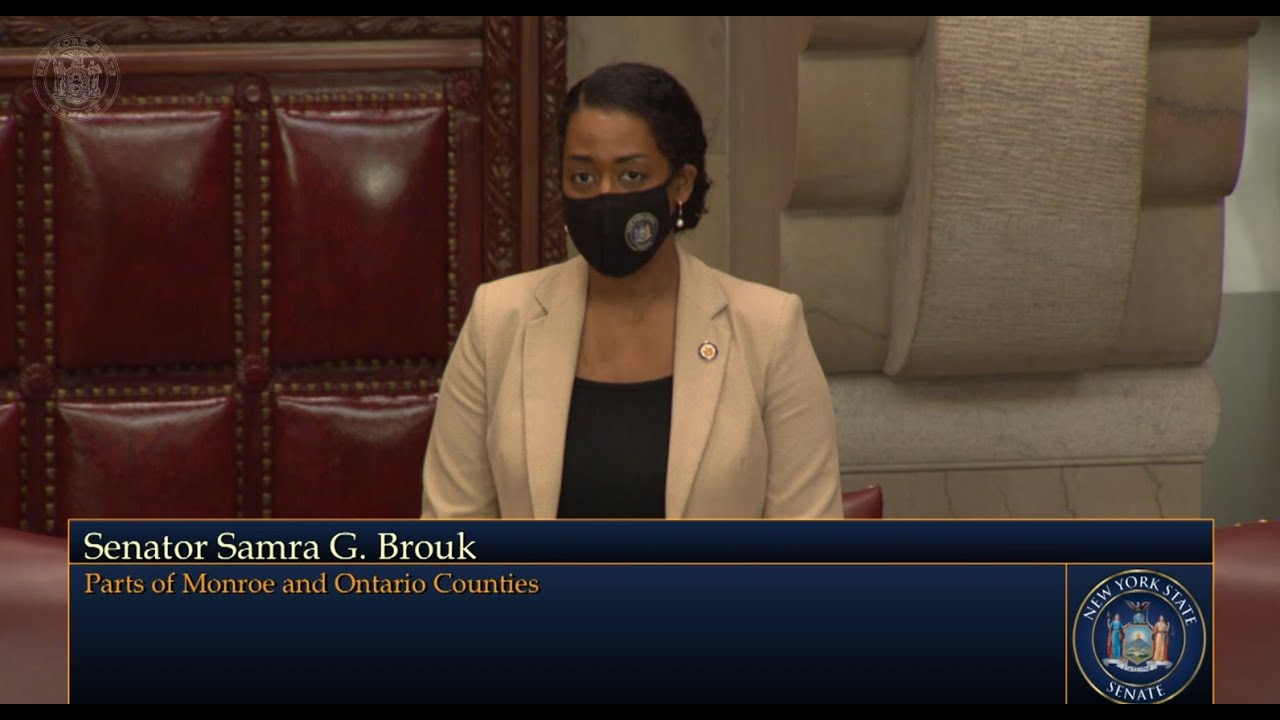 Senator Samra Brouk votes aye on the FY21-22 Health and Mental Hygiene NYS budget