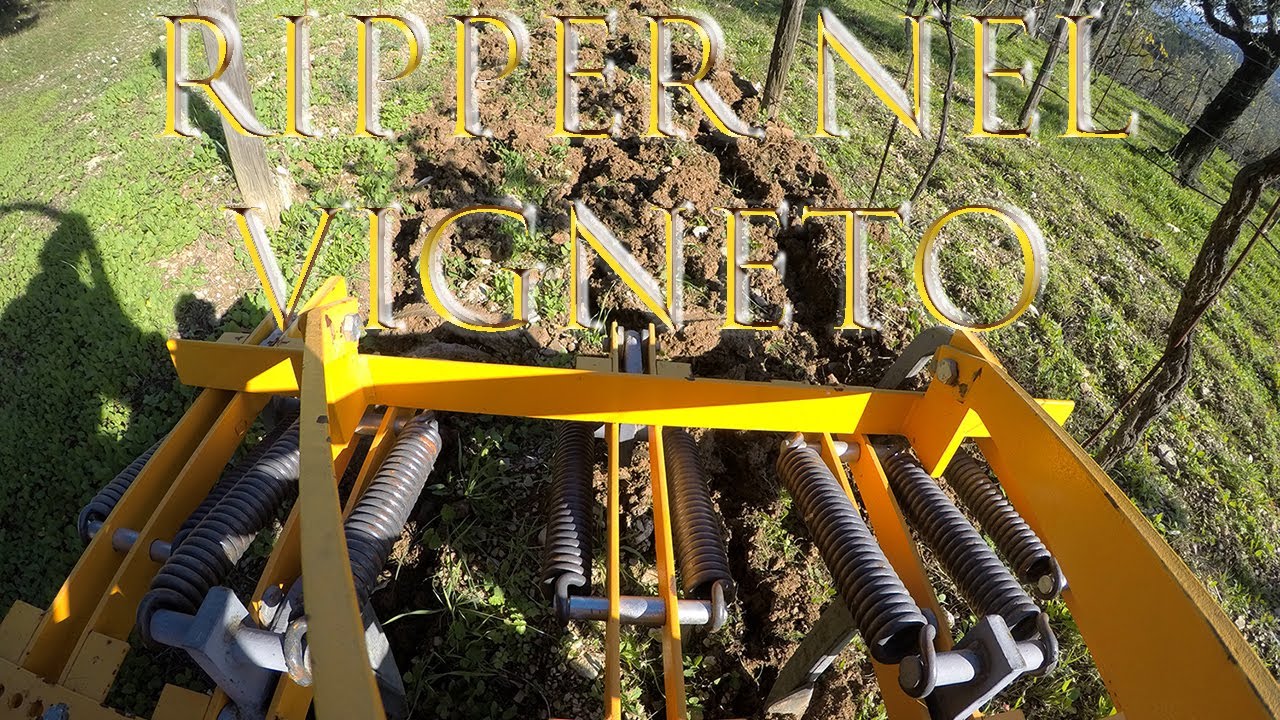 RIPPER NEL VIGNETO / Grubber in the Vineyard / Estirpatore + Trattore Antonio Carraro.