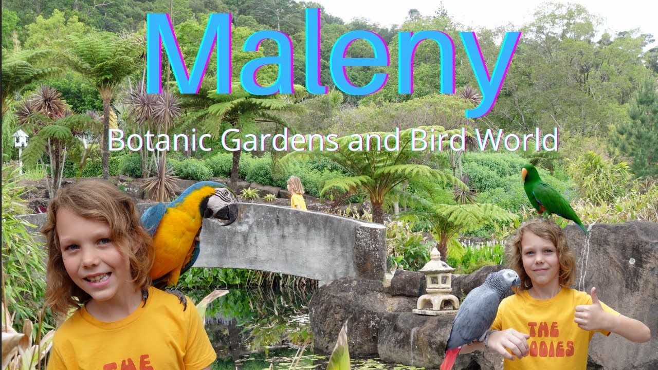 Maleny Botanic Gardens and Bird World YouTube