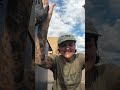 Rescuers Spot A Skunk Stuck In A Dumpster, Gasping For Air | The Dodo