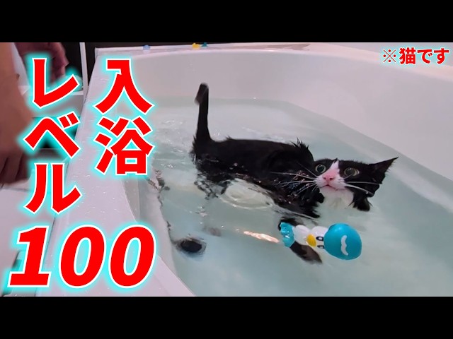 This guy is definitely not a cat My first bath this year was a