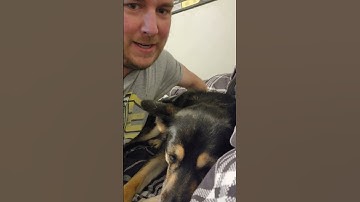 Join me for my Dyson Sphere Program Twitch stream @twitch.tv/panthomaniagaming