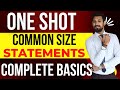 Common Size Statements | ONE SHOT | Class 12 | Accounts