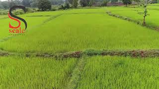 Drone Shots By Scale Creatives