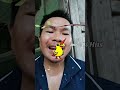 chim sẽ bắt sâu #carotkhoa2 #shorts