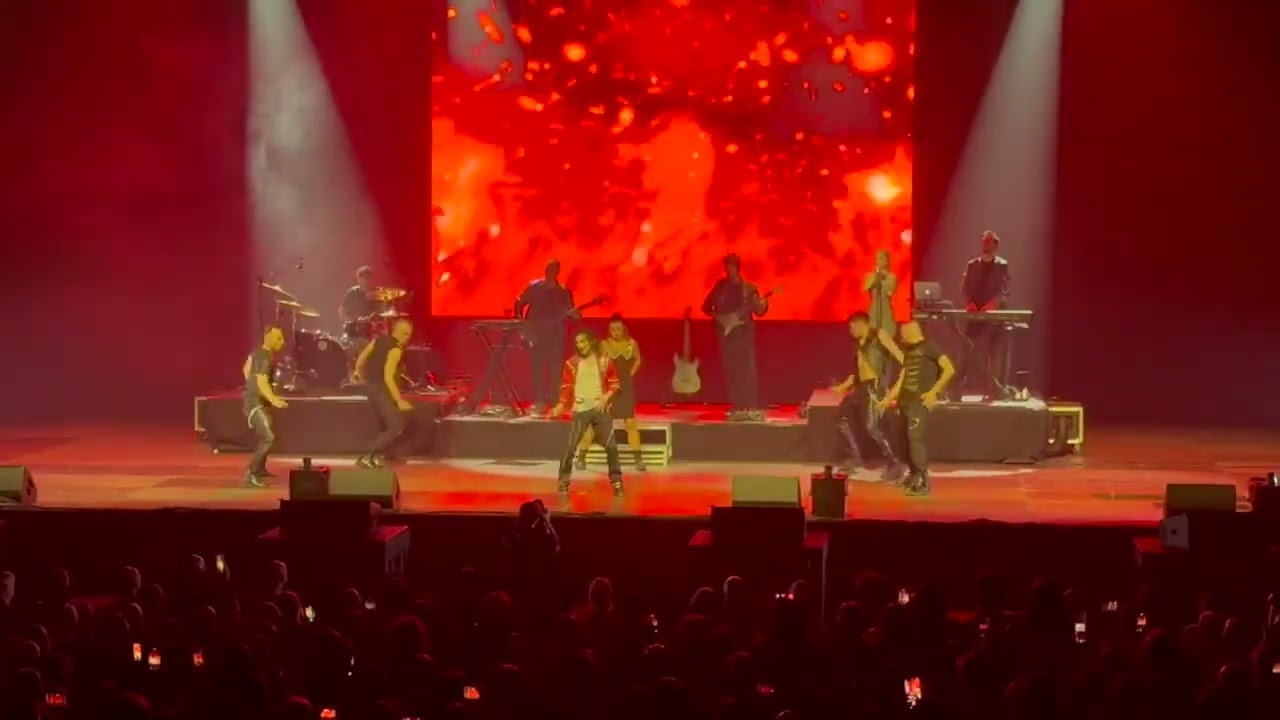 Show Michael Jackson by Sergio Cortès @ Wex Marche-en-Famene - 11/05/2025